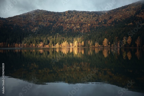 Moody autumn landscape. Bir...