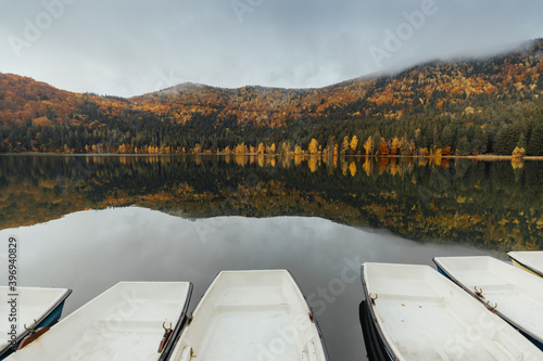 Colorful autumn landscape.N...