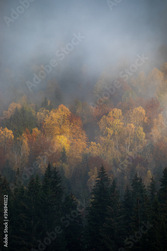 Background of mountain hills and morning fog at beautiful autumn foggy scenery