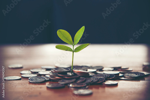 Saving Money concept for Business, Financial and Investment. Plant is growing in a jar with coins.