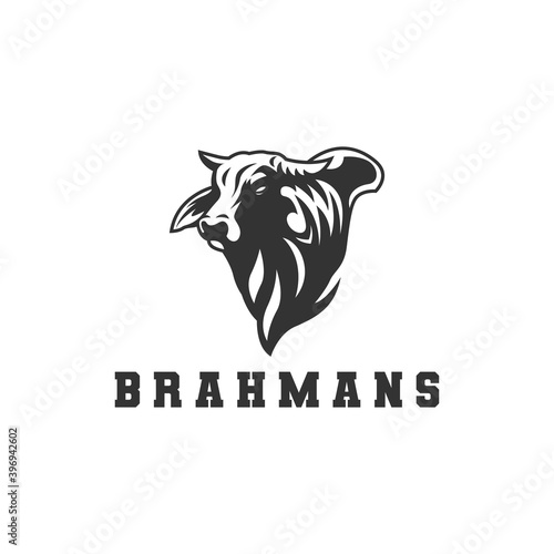 brahman cow logo, vector logo.