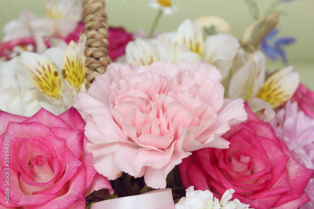 Fototapeta premium close up carnation flower in another flower background. pink cloves flowers . 