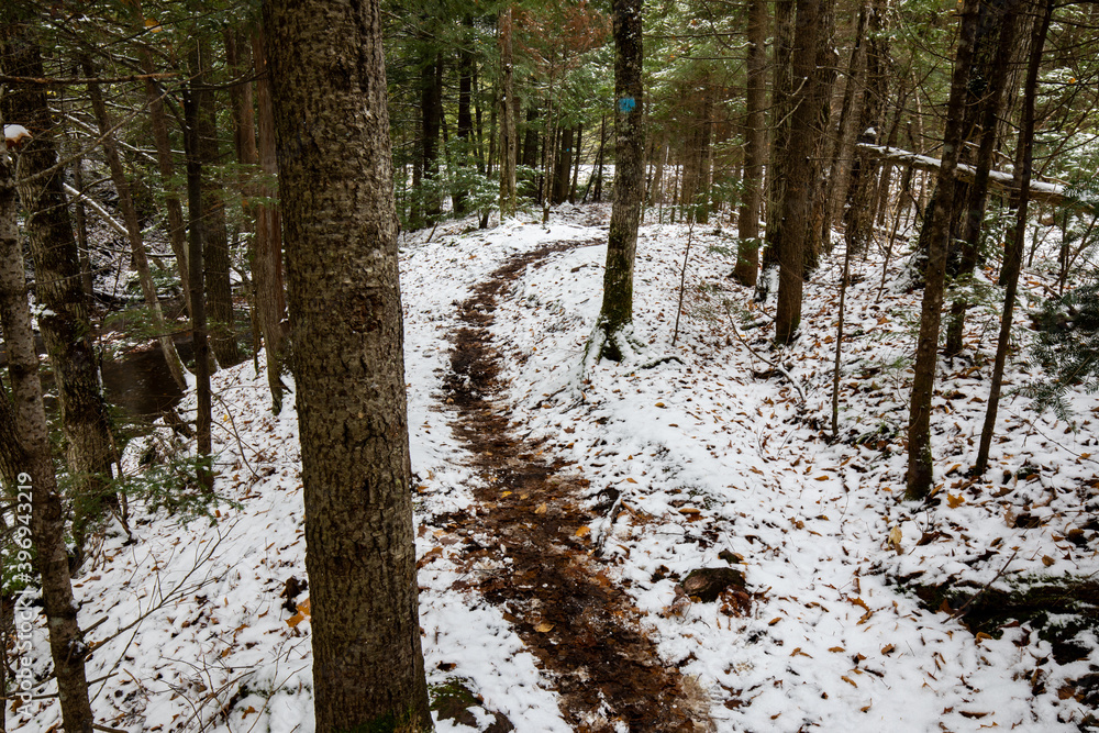 Snow covered trail at Union Mine Trail, Porcupine Mountains Wilderness State Park in Michigan. Winter landscape. Snow covered trail at Union Mine Trail, Porcupine Mountains Wilderness State Park in Michigan. Winter landscape.