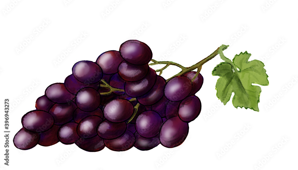 Fototapeta premium Purple grape with green leaf.