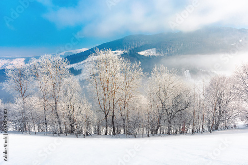 trees in hoarfrost on a snow covered hill. fairy tale winter mountain landscape. foggy weather on a sunny day