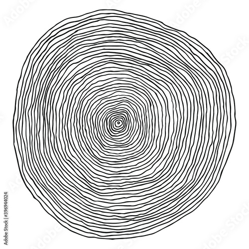 Vector isolated element. Tree rings (cross-section) on white background. Wooden texture for logo design.
