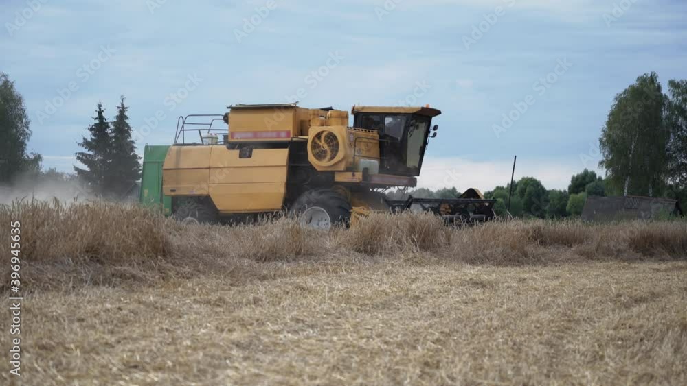 Wheat field combine harvester harvests ripe wheat. Wheat field combine harvester harvests ripe wheat.