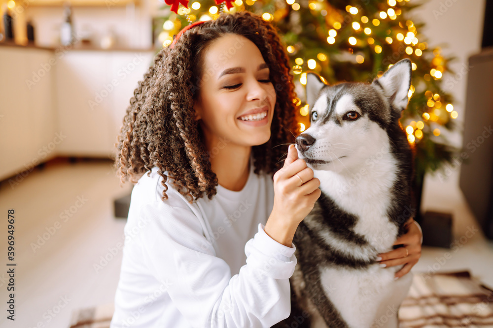 Beautiful woman playing and having fun with her dog while sitting near the christmas tree. Young lady hugging her dog with red christmas hat. Winter holidays. Light around.