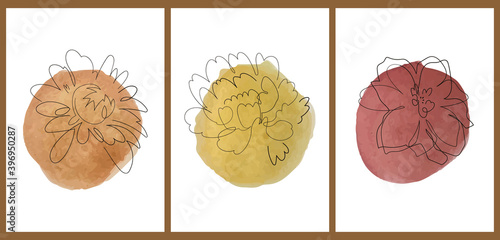 A set of three colorful aesthetic backgrounds. Minimalistic posters for social media, web design. Vintage illustrations with thin line flowers and watercolor abstract circles.