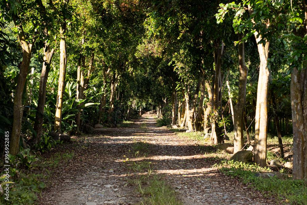 Fototapeta premium Beautiful ballast road