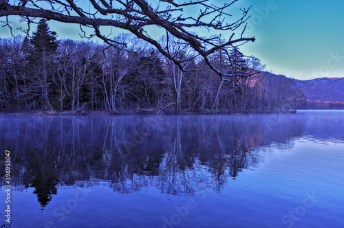 初冬の朝の湖。湖畔の森の木々、湖面にうっすらと漂う朝靄。