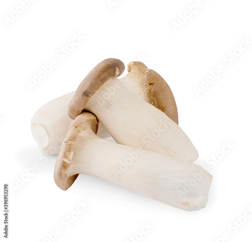 Pleurotus eryngii mushrooms on white  background