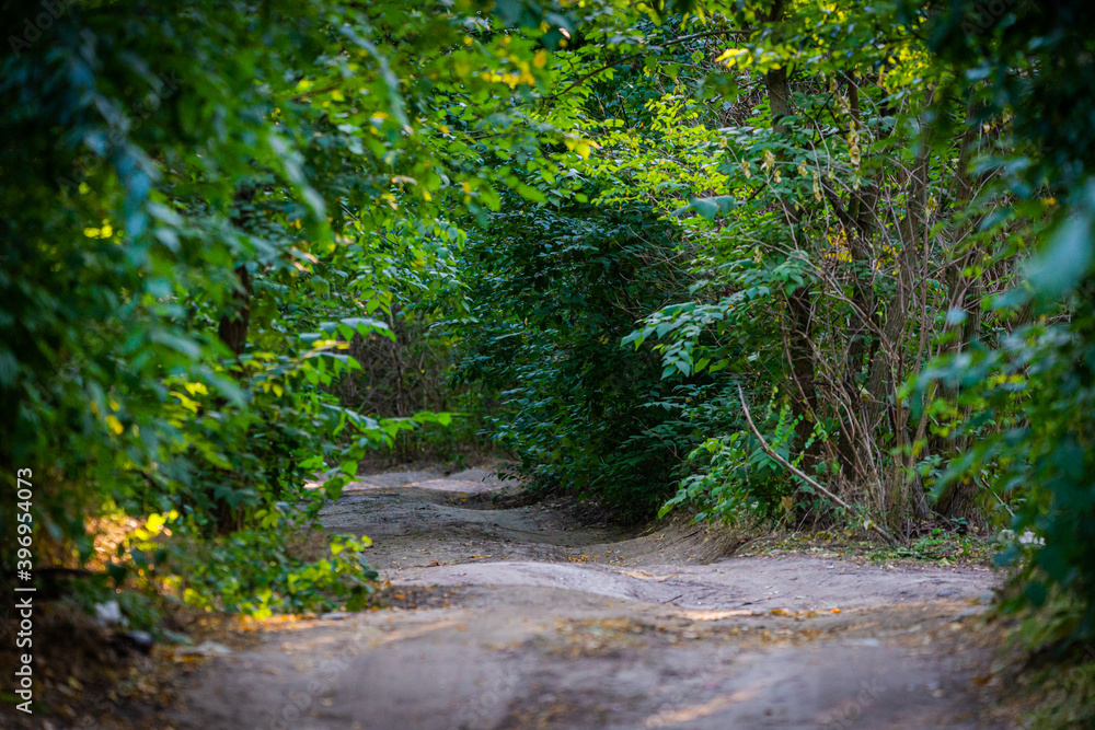 Dirt road in a forest or park among trees. Dirt road in a forest or park among trees.