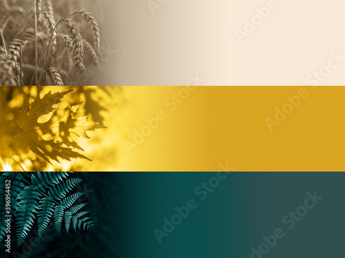 Color trends of 2021: tidewater green, fortuna gold, set champagne background photo