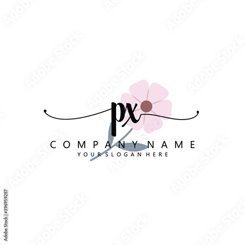 PX Initial handwriting logo template vector 