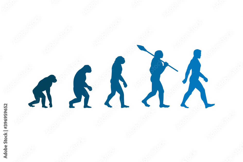 The evolution theory of man. Isolated Vector Illustration.