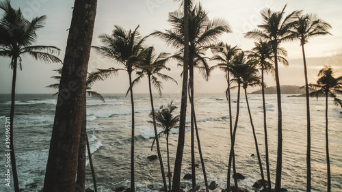 Tropikalny krajobraz, palmy na tle oceanu i zachodzącego słońca. © insomniafoto