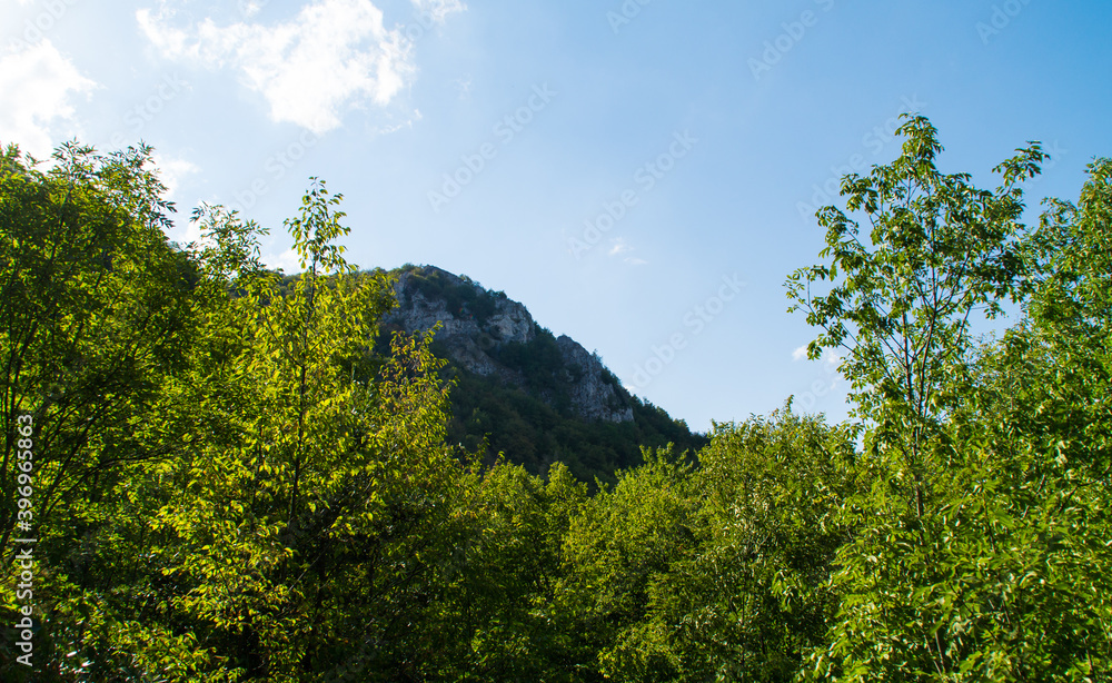 Vista lungo il sentiero di montagna in estate