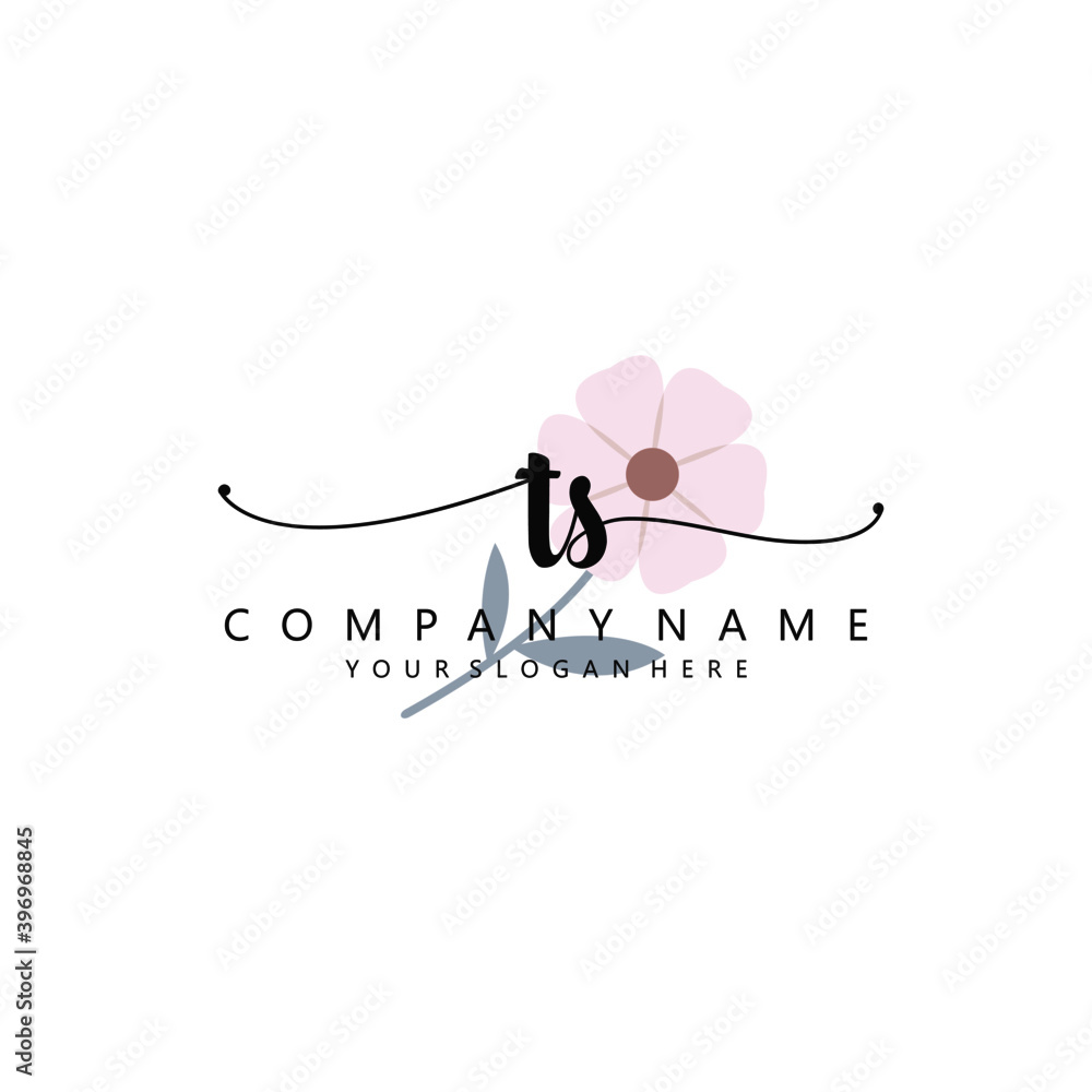 TS Initial handwriting logo template vector TS Initial handwriting logo template vector