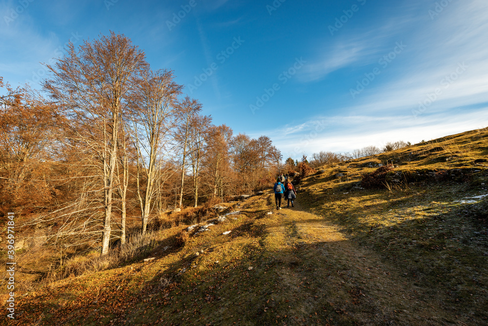 Group of hikers on the trail in autumn, Lessinia Plateau (Altopiano della Lessinia), Regional Natural Park, Alps, Verona Province, Veneto, Italy, Europe.