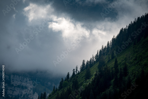 rainclouds create spectacular light on a steep slope of forest © schame87