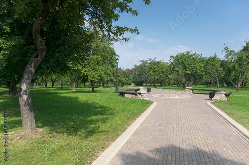 Fototapeta Naklejka Na Ścianę i Meble -  Walkway in the park in the summer