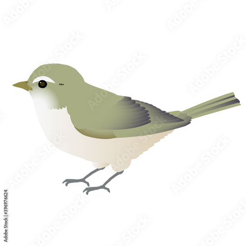 かわいい野鳥ウグイスのベクターイラスト