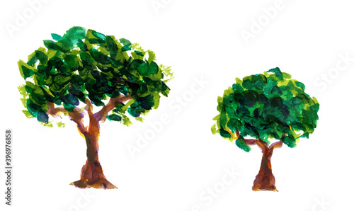 絵具で描写された木のイラスト