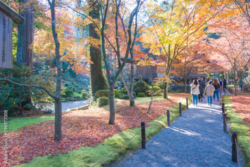 Fototapeta Naklejka Na Ścianę i Meble -  Kyoto, Japan - Autumn leaf color at Sanzenin Temple in Ohara, Kyoto, Japan. Sanzenin Temple was founded in 804.
