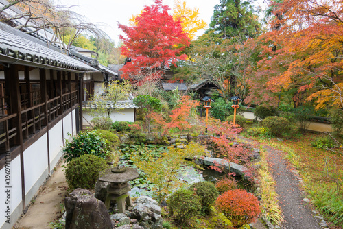 Kyoto, Japan - Autumn leaf color at Jurinji Temple (Narihira-dera) in Kyoto, Japan. The Temple originally built in 850..