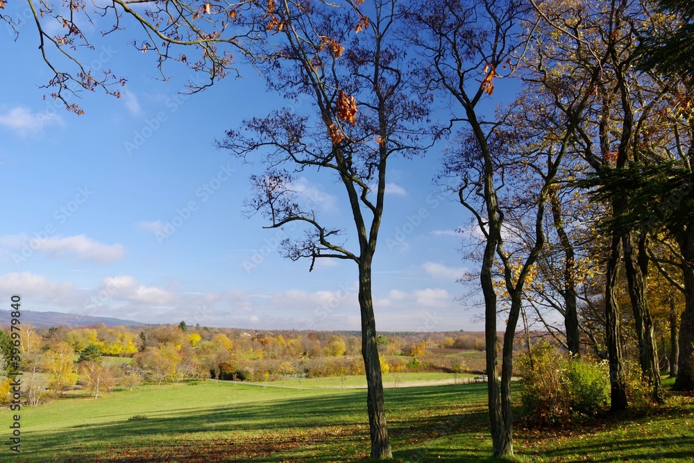 Obraz premium Herbstlandschaft