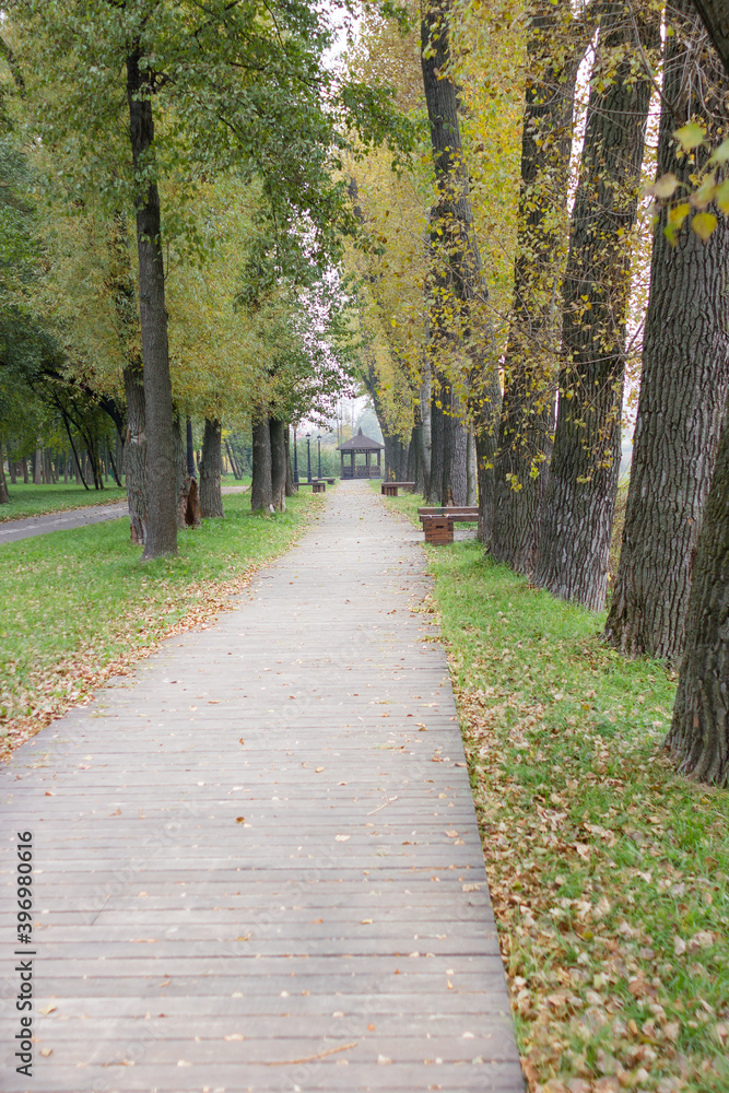 Walkway in the park in the summer Walkway in the park in the summer