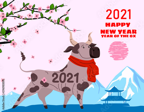 Happy Chinese 2021 new year greeting card. Year of the ox. Cute bull with red scarf and blooming tree flowers, background chinese asian landscape. Chinese zodiac symbol traditional holidays cartoon