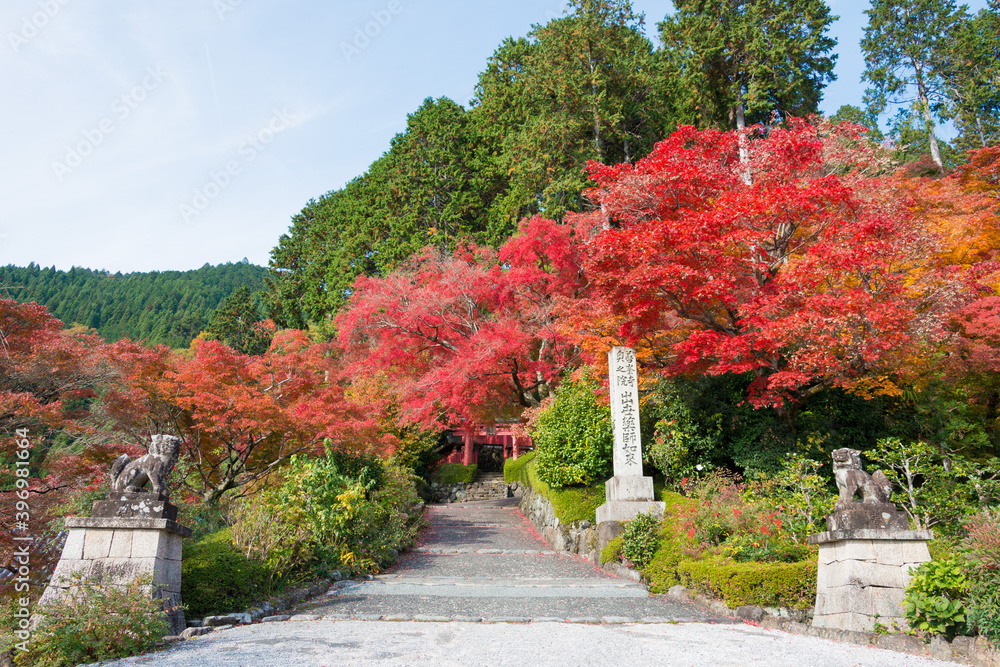 Kyoto, Japan - Autumn leaf color at Yoshiminedera Temple in Kyoto, Japan. The Temple originally built in 1029.