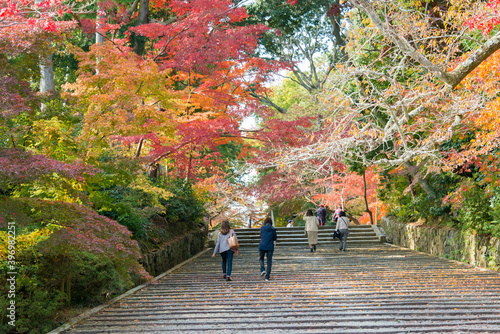 Kyoto, Japan - Autumn leaf color at Komyoji Temple in Nagaokakyo, Kyoto, Japan. The Temple originally built in 1198. photo