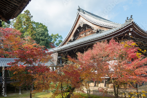 Kyoto  Japan - Autumn leaf color at Komyoji Temple in Nagaokakyo  Kyoto  Japan. The Temple originally built in 1198.