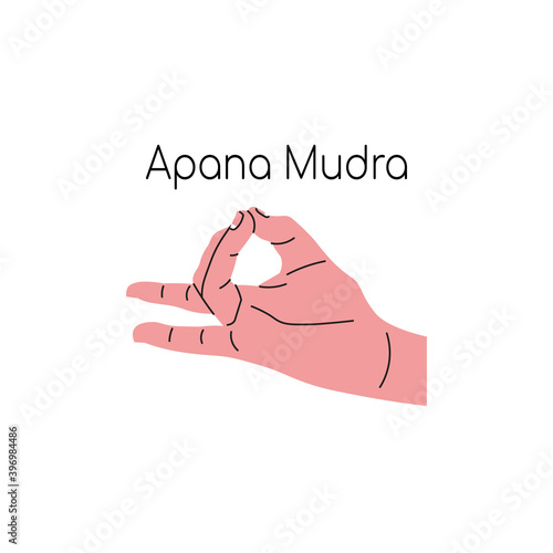 Apana mudra. Yoga hand gesture. Meditation. Vector illustration in flat minimalism design. Isolated on a white background