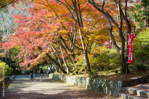 Kyoto, Japan - Autumn leaf color at Bishamondo Temple in Yamashina, Kyoto, Japan. The Temple originally built in 703. photo