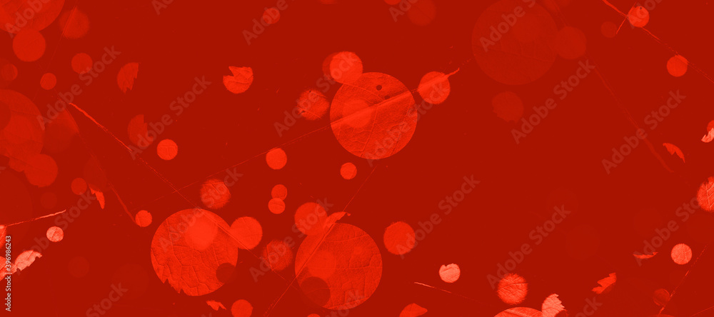 abstract colorful circles background bg texture wallpaper art leaves flora abstract colorful circles background bg texture wallpaper art leaves flora