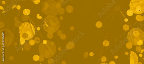abstract colorful circles background bg texture wallpaper art leaves flora