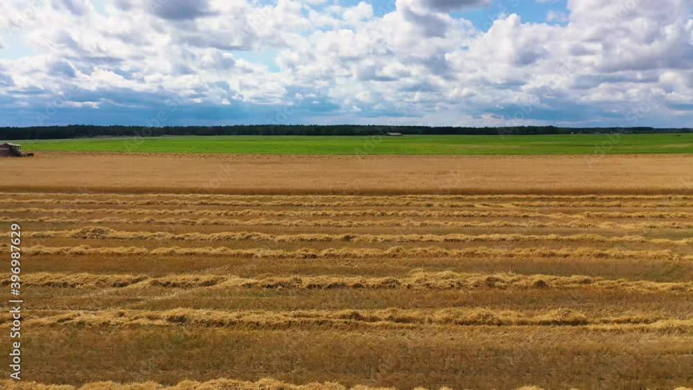Harvester reaps crop Harvester reaps crop