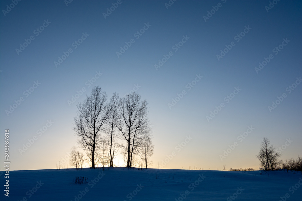 冬の夕暮れの丘に立つ冬木立
冬の夕暮れの丘に立つ冬木立