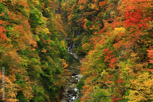 紅葉の小安峡