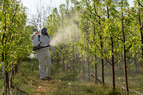 Photos Fruit Grower Sprays Trees With Toxic Pesticides or Insecticides
