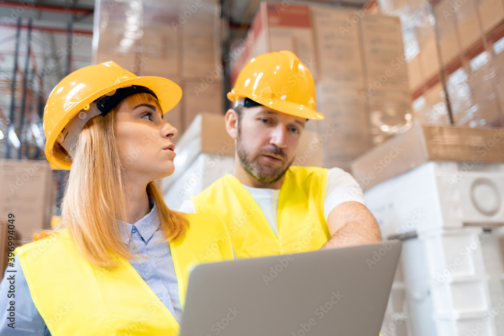 Female warehouse manager consult delivery plans using database in laptop Female warehouse manager consult delivery plans using database in laptop