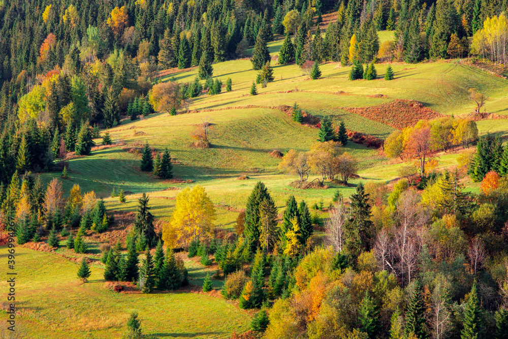 Colorful Carpathian mountains in Slovakia forest