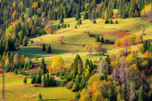 Obraz na płótnie Colorful Carpathian mountains in Slovakia forest w salonie