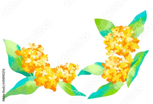 優しいタッチの金木犀のイラスト
