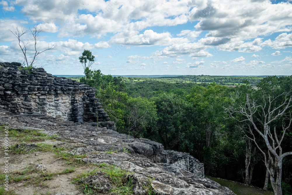 View from a pyramid overlooking a jungle. Endless jungle in Mexico