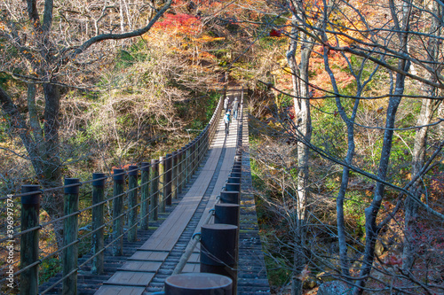 秋の花貫渓谷、汐見滝吊り橋